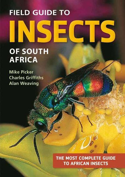 Field Guide to Insects of South Africa - Struik Nature Field Guides - Mike Picker - Books - Penguin Random House South Africa - 9781775845843 - May 30, 2019