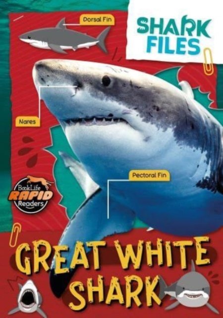 Cover for Robin Twiddy · Great White Shark - Shark Files (Paperback Book) (2024)