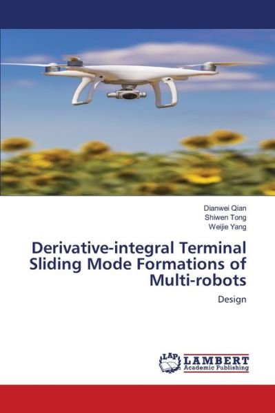 Cover for Qian · Derivative-integral Terminal Slidi (Bog) (2020)