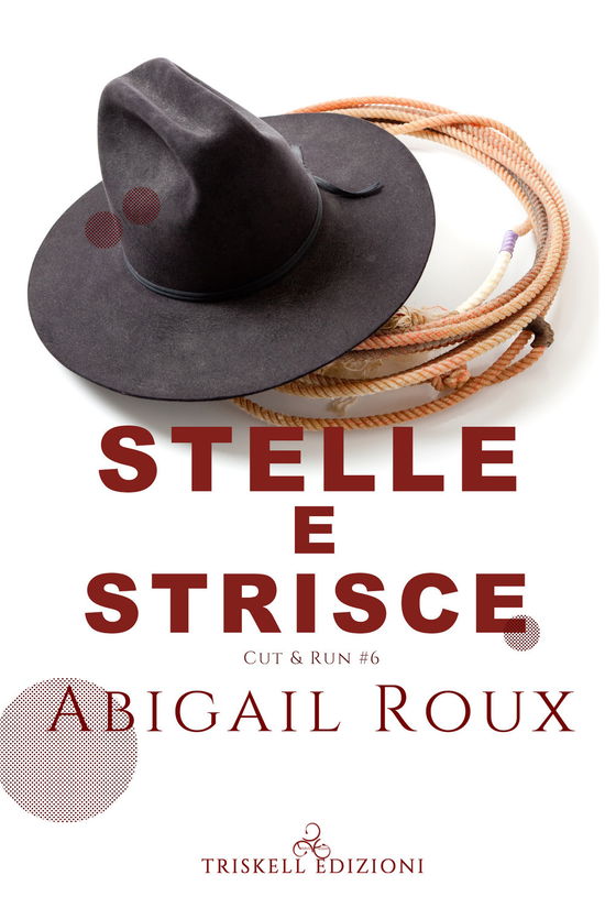 Stelle E Strisce - Abigail Roux - Bücher -  - 9791220702843 - 