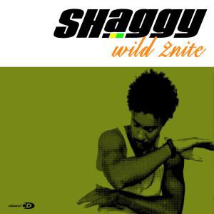 Wild 2nite - Shaggy - Musik - GEFFEN - 0602498845844 - 12 september 2005