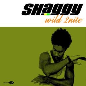 Cover for Shaggy · Wild 2nite (SCD) (2005)