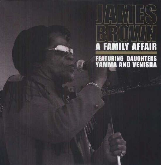 Cover for James Brown · Family Affair (LP) (2014)