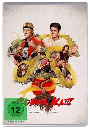 Cover for Cobra Kai Season 3 · Cobra Kai Season 3/dvd (DVD) (2022)