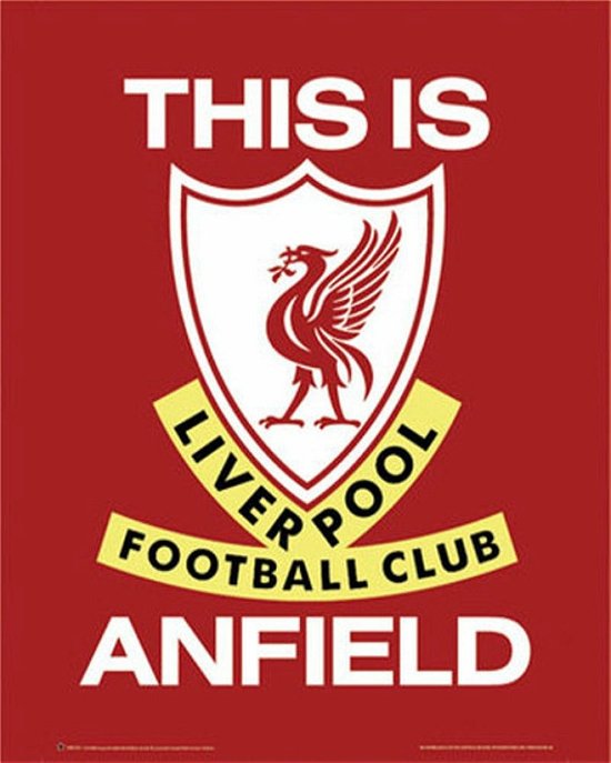 Cover for Liverpool · Liverpool - This Is Anfield (Poster Mini 40x50 Cm) (MERCH) (2017)