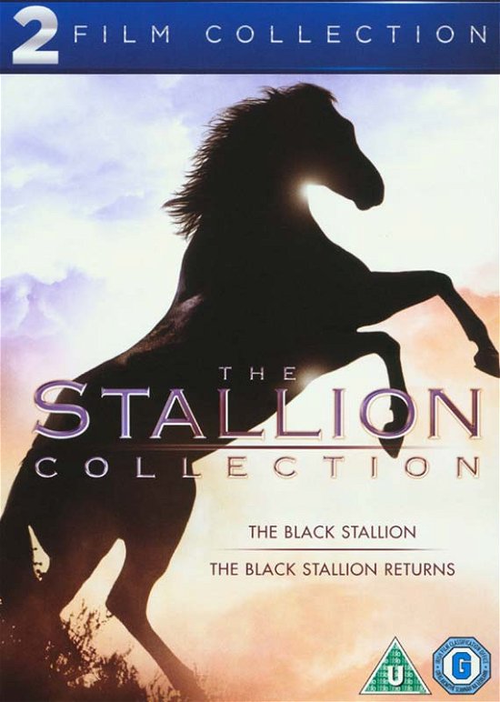 The Black Stallion / the Black Stallion Returns - Black Stallion Double Pack Dvds - Film - MGM - 5039036060844 - 13. maj 2013