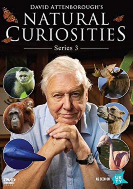 Cover for David Attenboroughs Natural C. S3 (DVD) (2016)