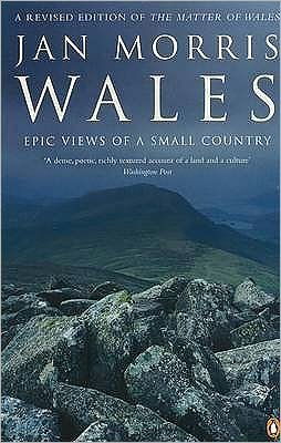 Wales: Epic Views of a Small Country - Jan Morris - Bücher - Penguin Books Ltd - 9780140274844 - 27. April 2000