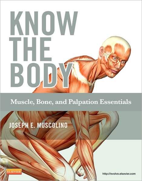 Cover for Muscolino, Joseph E. (Instructor, Purchase College, State University of New York, Purchase, New York; Owner, The Art and Science of Kinesiology, Redding, Connecticut) · Know the Body: Muscle, Bone, and Palpation Essentials (Paperback Book) (2011)