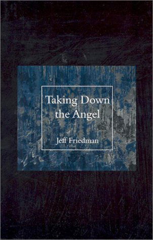 Cover for Jeff Friedman · Taking Down the Angel (Paperback Book) [1st edition] (2003)