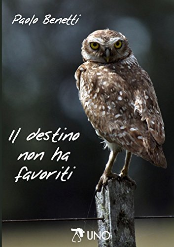 Cover for Paolo Benetti · Il Destino Non Ha Favoriti (Paperback Book) [Italian edition] (2014)