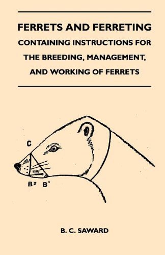 Cover for B. C. Saward · Ferrets and Ferreting - Containing Instructions for the Breeding, Management, and Working of Ferrets (Paperback Book) (2010)