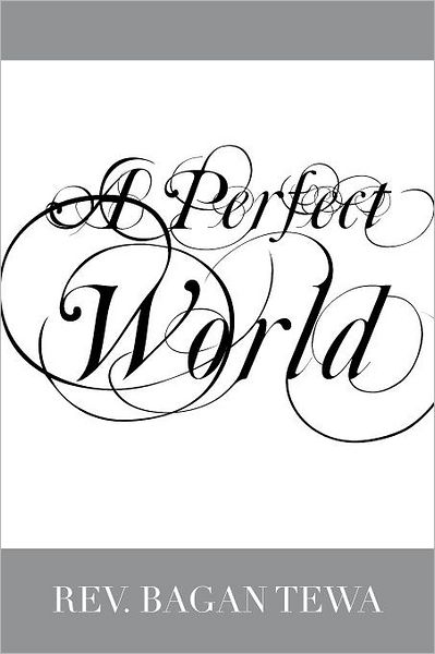 Cover for Rev Bagan Tewa · A Perfect World (Paperback Book) (2012)