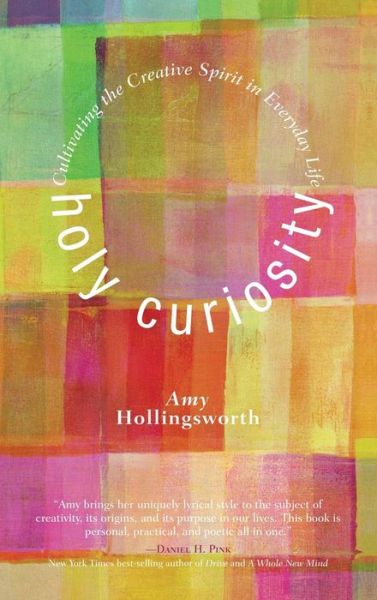 Cover for Amy Hollingsworth · Holy Curiosity (Hardcover Book) (2011)