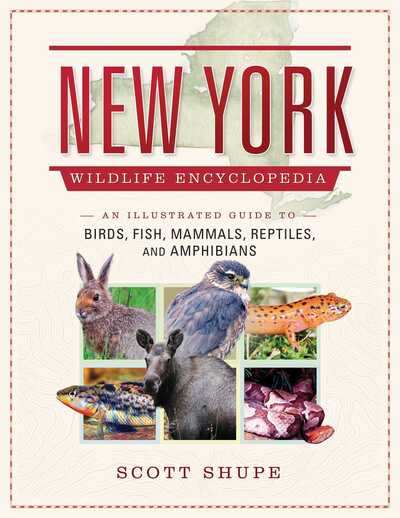 Cover for Scott Shupe · New York Wildlife Encyclopedia: An Illustrated Guide to Birds, Fish, Mammals, Reptiles, and Amphibians (Hardcover Book) (2018)