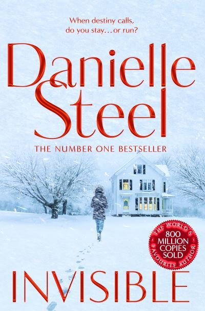 Invisible: A compelling story of ambition and pursuing a dream from the billion copy bestseller - Danielle Steel - Bøger - Pan Macmillan - 9781529021844 - 8. december 2022