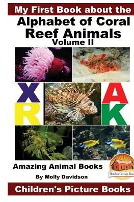 Cover for John Davidson · My First Book about the Alphabet of Coral Reef Animals Volume II - Amazing Animal Books - Children's Picture Books (Pocketbok) (2016)