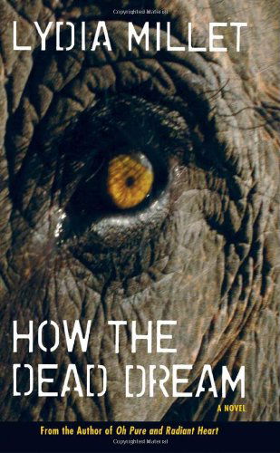 How the Dead Dream: A Novel - Lydia Millet - Books - Counterpoint - 9781593761844 - December 1, 2007