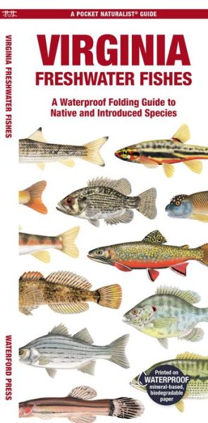 Cover for Waterford Press · Virginia Freshwater Fishes: A Waterproof Folding Guide to Native and Introduced Species - Pocket Naturalist Guide (Pamphlet) (2024)