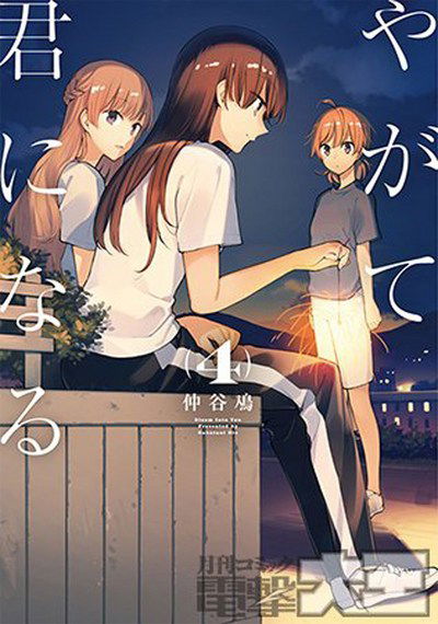 Cover for Nakatani Nio · Bloom into You Vol. 4 (Paperback Book) (2018)