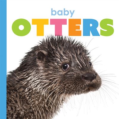 Cover for Kate Riggs · Baby Otters (Paperback Book) (2020)