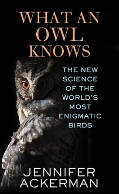 Cover for Jennifer Ackerman · What an Owl Knows (Buch) (2023)