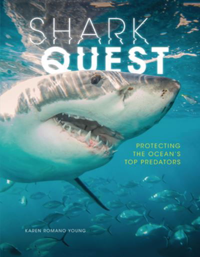 Cover for Karen Romano Young · Shark Quest (Paperback Book) (2022)