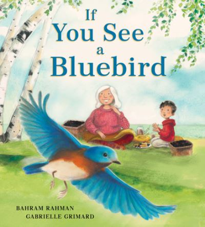 Cover for Bahram Rahman · If You See a Bluebird (Gebundenes Buch) (2023)