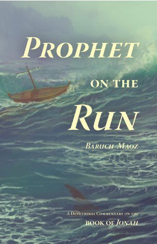 Cover for Baruch Maoz · Prophet on the Run (Paperback Book) (2014)