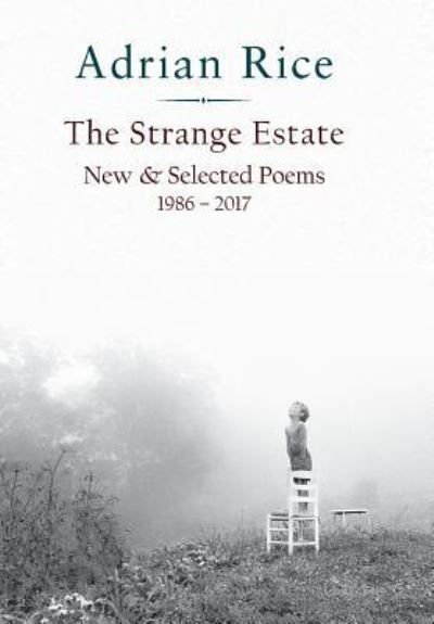 Cover for Adrian Rice · The Strange Estate (Hardcover Book) (2018)