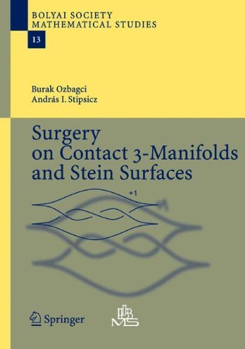 Surgery on Contact 3-manifolds and Stein Surfaces - Bolyai Society Mathematical Studies - Burak Ozbagci - Kirjat - Springer-Verlag Berlin and Heidelberg Gm - 9783642061844 - maanantai 6. joulukuuta 2010