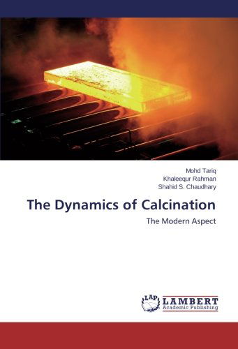 Cover for Shahid S. Chaudhary · The Dynamics of Calcination: the Modern Aspect (Paperback Book) (2014)