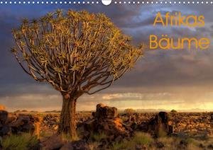 Cover for Voß · Afrikas Bäume (Wandkalender 2020 DI (Buch)