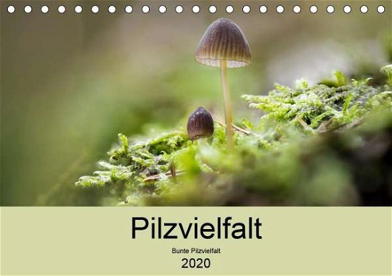 Pilzvielfalt (Tischkalender 2020 D - Reim - Boeken -  - 9783671388844 - 