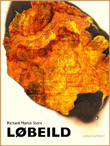 Cover for Richard Martin Stern · Løbeild (Hæftet bog) [2. udgave] (2017)