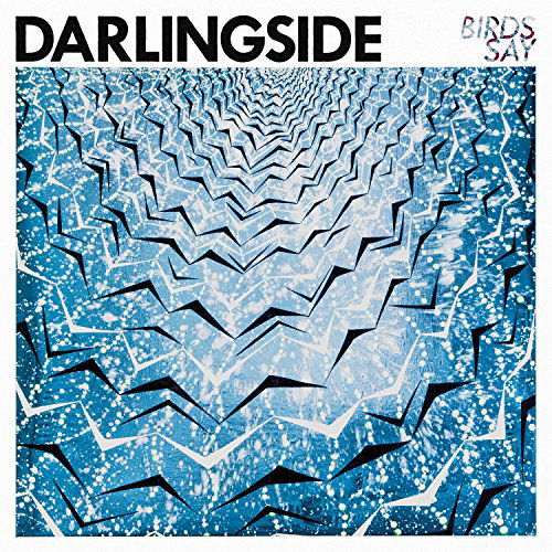 Birds Say - Darlingside - Muziek - MORE DOUG RECORDS - 0696859965845 - 18 september 2015