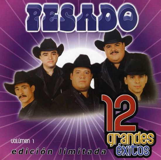 Cover for Pesado · 12 Grandes Exitos Vol.1 (CD) [Limited edition] (2009)