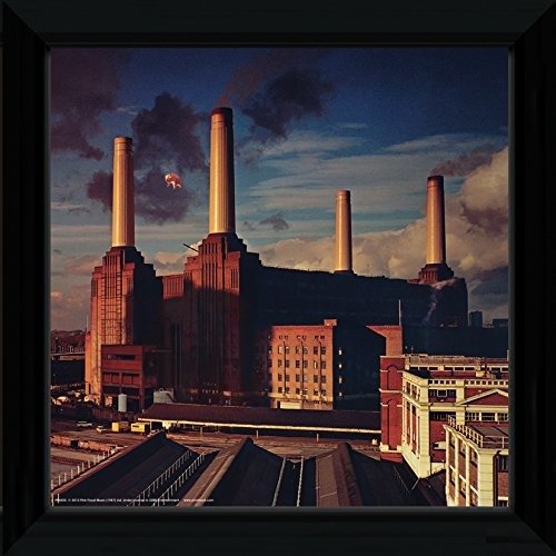Pink Floyd - Animals (Stampa In Cornice 30x30 Cm) - Pink Floyd - Merchandise -  - 5028486196845 - 