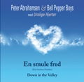 En Smule Fred - Peter Abrahamsen - Musik - STV - 5707471020845 - 26. april 2011