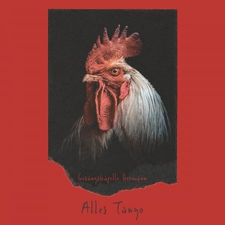 Cover for Gesangskapelle Hermann · Alles Tango (CD)
