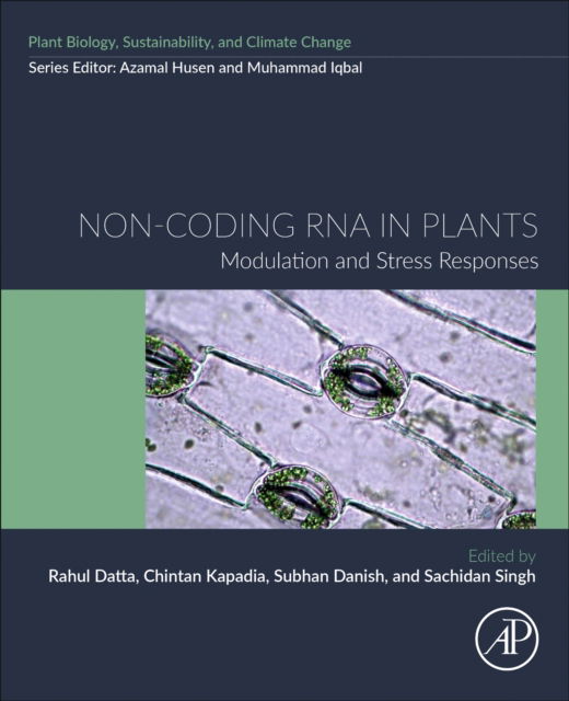 Rahul Datta · Non-coding RNA in Plants: Modulation and Stress Responses - Plant Biology, sustainability and climate change (Paperback Book) (2024)