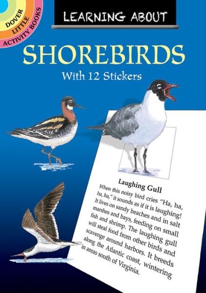 Cover for Sy Barlowe · Learning About Shorebirds - Little Activity Books (Pocketbok) (2021)