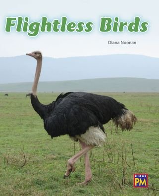 Cover for Rigby · Flightless Birds (Paperback Book) (2016)