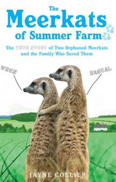 Cover for Jayne Collier · The Meerkats Of Summer Farm: The True Story of Two Orphaned Meerkats and the Family Who Saved Them (Paperback Bog) (2011)