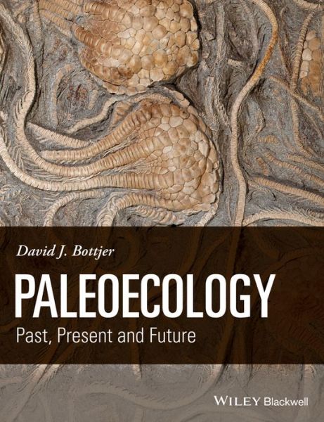 Cover for Bottjer, David J. (University of Southern California) · Paleoecology: Past, Present and Future (Paperback Book) (2016)