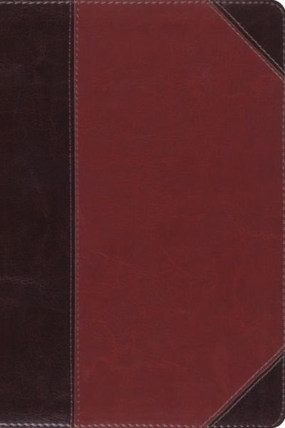 Cover for Crossway Bibles · Esv Study Bible  Personal Size (Tru (N/A) [Brown/Cordovan Imitation] (2012)