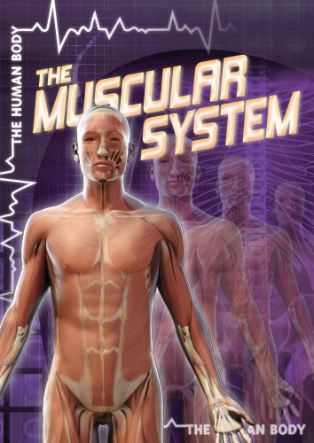 Cover for Greg Roza · The Muscular System (The Human Body) (Hardcover Book) (2012)