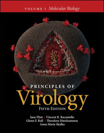 Cover for Flint, Jane (Princeton University) · Principles of Virology, Volume 1: Molecular Biology - ASM Books (Paperback Book) (2020)