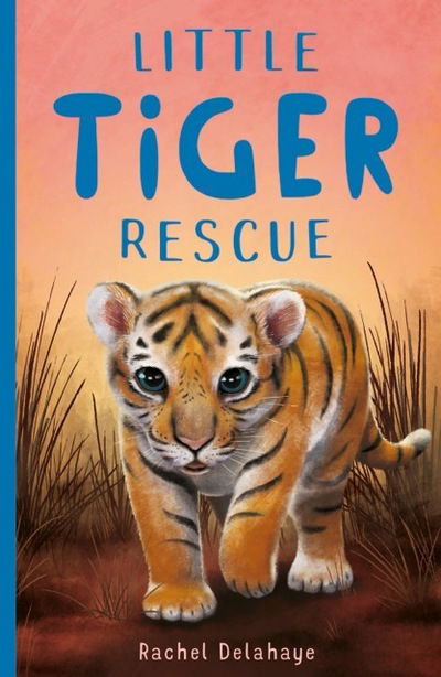 Cover for Rachel Delahaye · Little Tiger Rescue - Little Animal Rescue (Paperback Book) (2020)