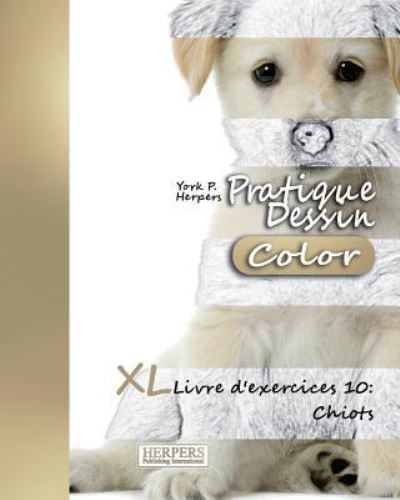 Pratique Dessin [Color] - XL Livre d'exercices 10 - York P Herpers - Książki - Createspace Independent Publishing Platf - 9781981451845 - 5 grudnia 2017